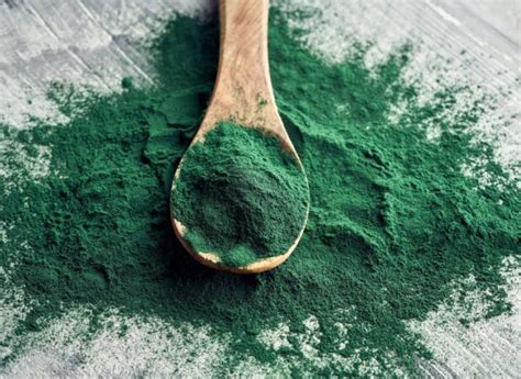 spirulina omega 3|More.